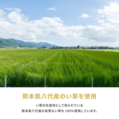 国産い草カーペット 琥珀 江戸間1畳