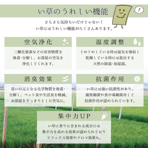 国産い草ラグ 吉兆