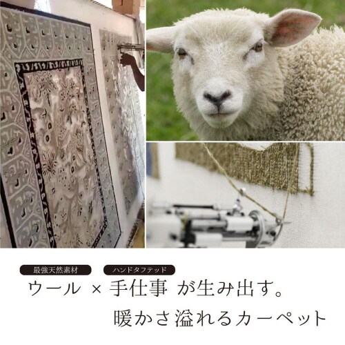 E[POO̎Â胉O}bg@|^[