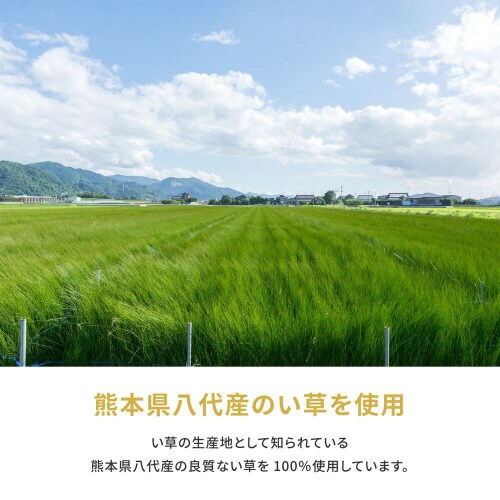 国産い草カーペット 琥珀 江戸間10畳