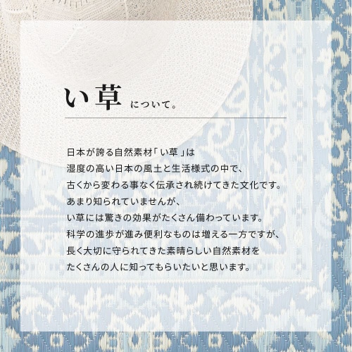 三重織 い草ラグ コンチェルト