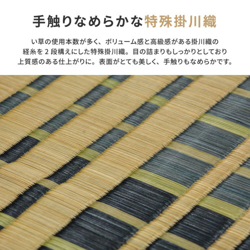 国産い草ラグ(裏貼り) 右京