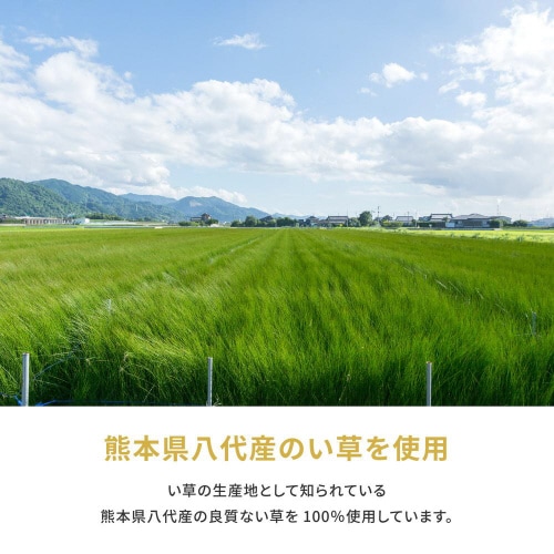 国産い草カーペット 琥珀 36間3畳