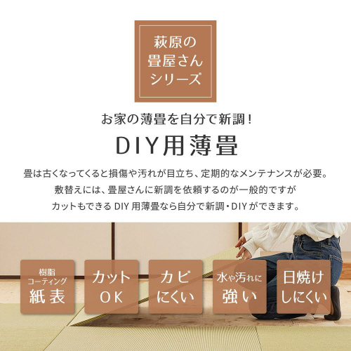 y̏􉮂V[Yz@chx@ij