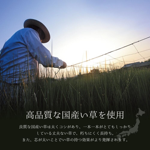 国産い草ラグ(裏貼り) 吉兆