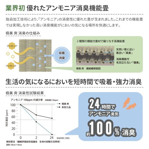 強力消臭の洗えるお風呂場マット極美 爽
