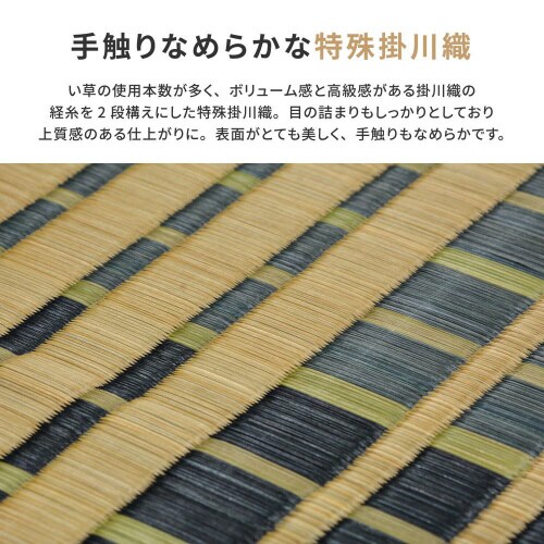 国産い草ラグ 右京
