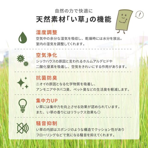 国産い草カーペット 清涼 江戸間1畳