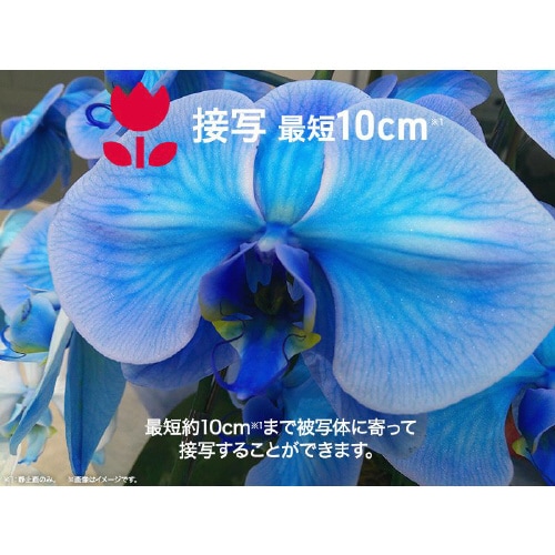 コンパクトデジタルカメラ  DCB