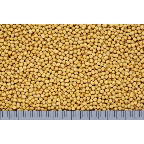 キラピピインコ小粒