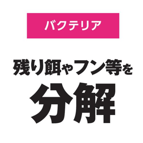 バクテリアスリムマット