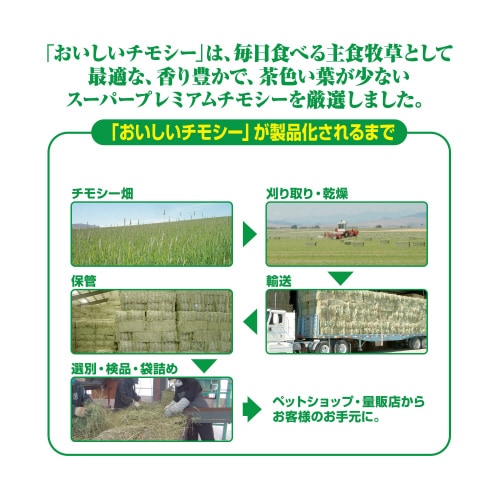 おいしいチモシー