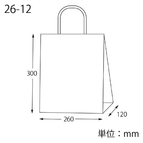 スムースバッグ 26−12 未晒無地 25枚×8