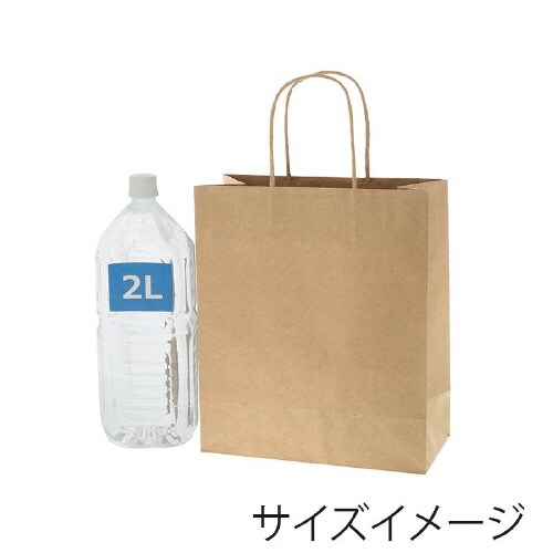 スムースバッグ 26−12 未晒無地 25枚×8