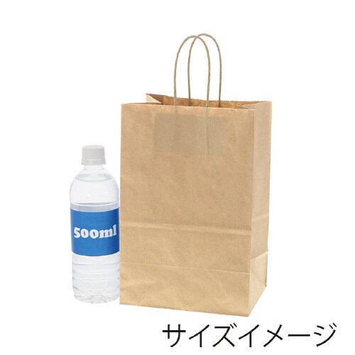 Dカップバッグ 2個用 未晒無地 25枚×20