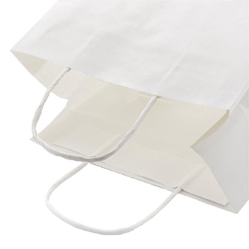 オブロングバッグ 23−15 白無地 20枚×10