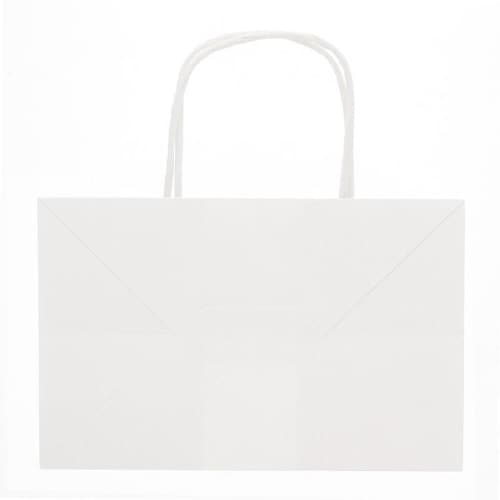 オブロングバッグ 23−15 白無地 20枚×10