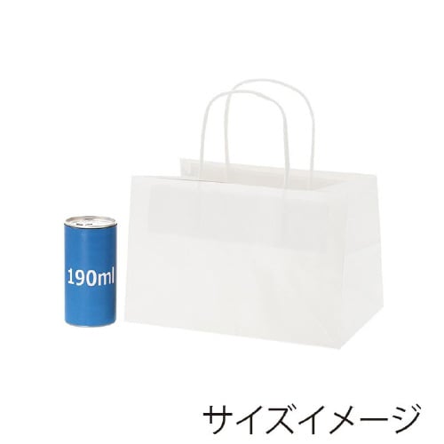 オブロングバッグ 23−15 白無地 20枚×10