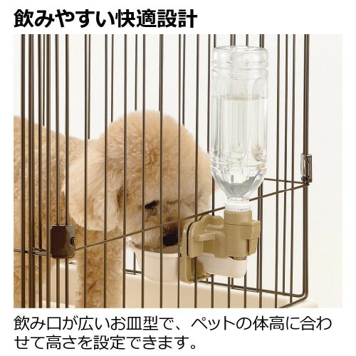 ドッグウォーターディッシュ