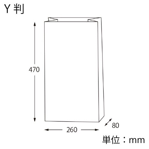ファンシーバッグ Y判 未晒無地 100枚×5