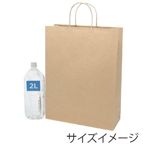 スムースバッグ KA 未晒無地 25枚×8