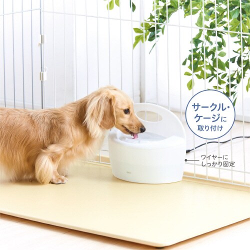 ピュアクリスタル フィット ホワイト