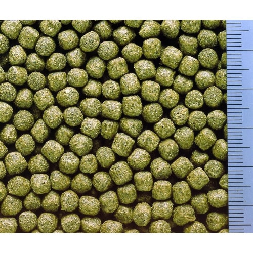 ひかりデイリー 中粒