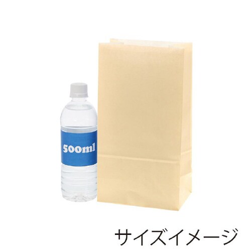 ファンシーバッグK6ニュアンスベージュ50枚×10
