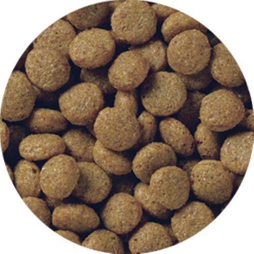 MCアドバンスグレインフリーチキン1歳