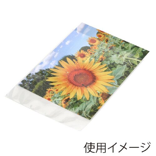 ピュアパック 04S 9.1−13 100枚×10