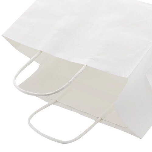 オブロングバッグ 26−17 白無地 20枚×10