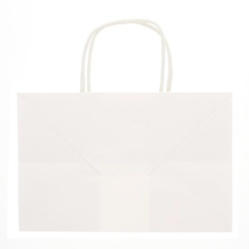 オブロングバッグ 26−17 白無地 20枚×10