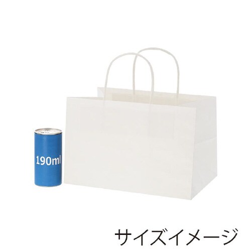 オブロングバッグ 26−17 白無地 20枚×10