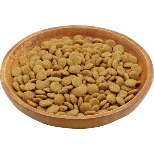 プラクト キャット ドライフード 幼猫‐