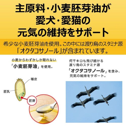 スタミノール子いぬ・子ねこ用