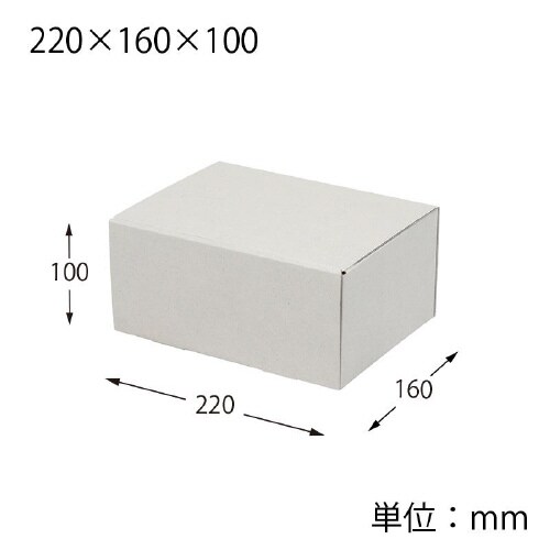 ナチュラルグレーBOX220×160×10050枚