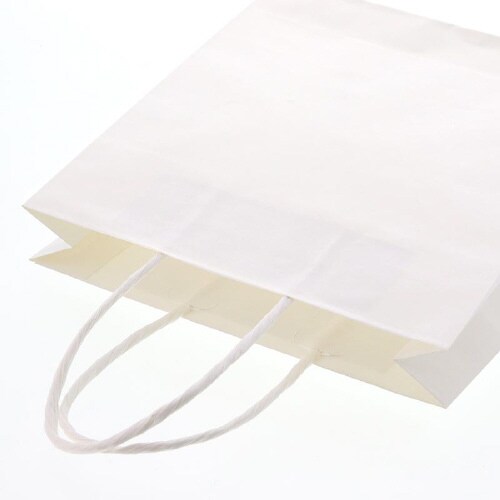 スムースバッグ 22−06 白無地 25枚×12