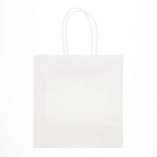 スムースバッグ 22−06 白無地 25枚×12