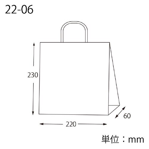 スムースバッグ 22−06 白無地 25枚×12