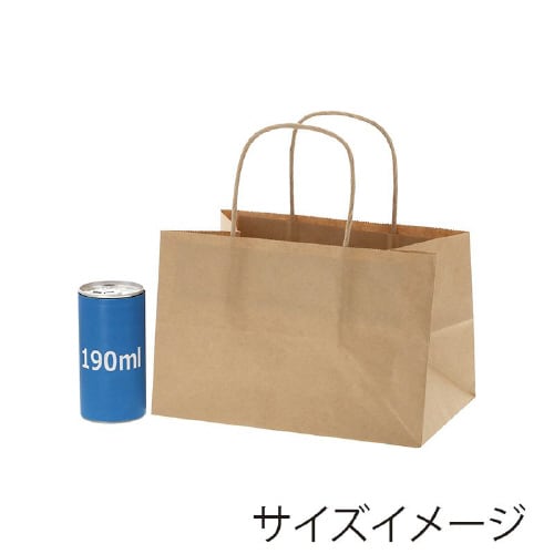 オブロングバッグ 23−15 未晒無地20枚×10