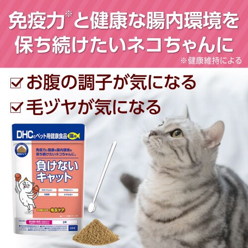 負けないキャット