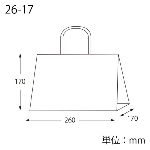 オブロングバッグ26−17未晒無地20枚×10