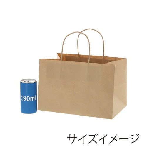 オブロングバッグ26−17未晒無地20枚×10