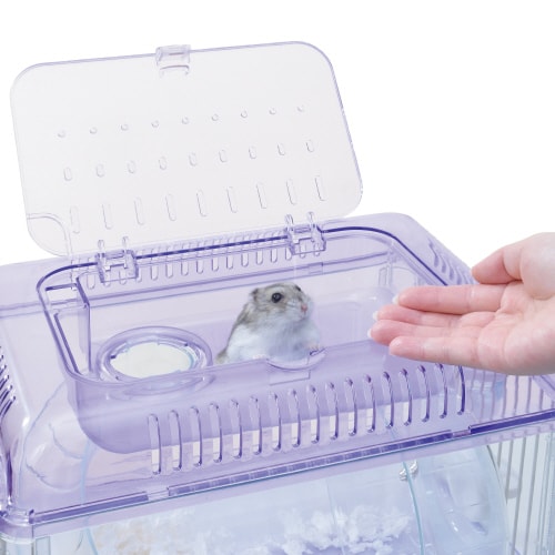 クリアフロント30 ラベンダー