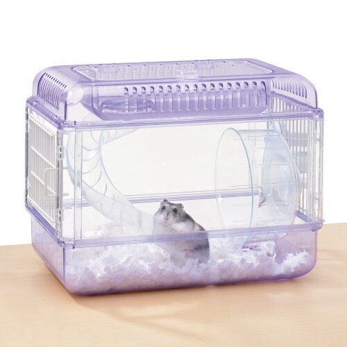 クリアフロント30 ラベンダー