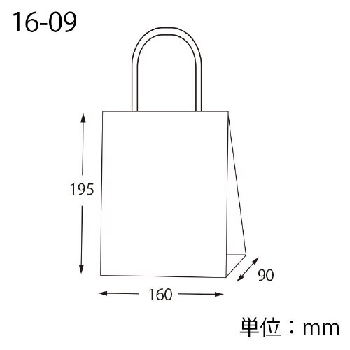 スムースバッグ 16−09 未晒無地 25枚×12