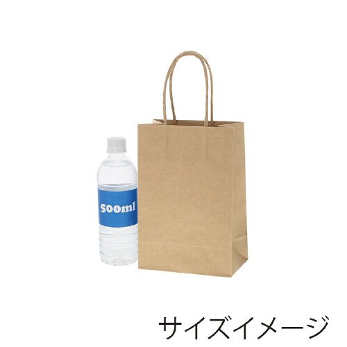 スムースバッグ 16−2 未晒無地 25枚×12
