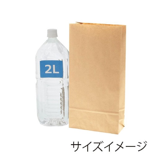 ファンシーバッグ S4 未晒無地 100枚×5