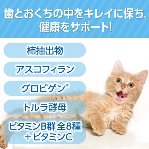 猫用オーラルケア