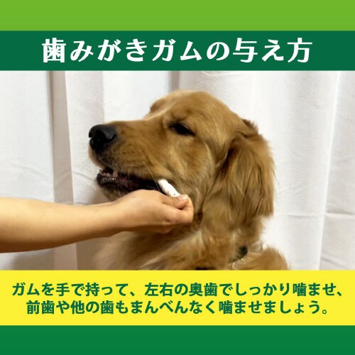PETKISS食後の歯みがきガム中大型犬用